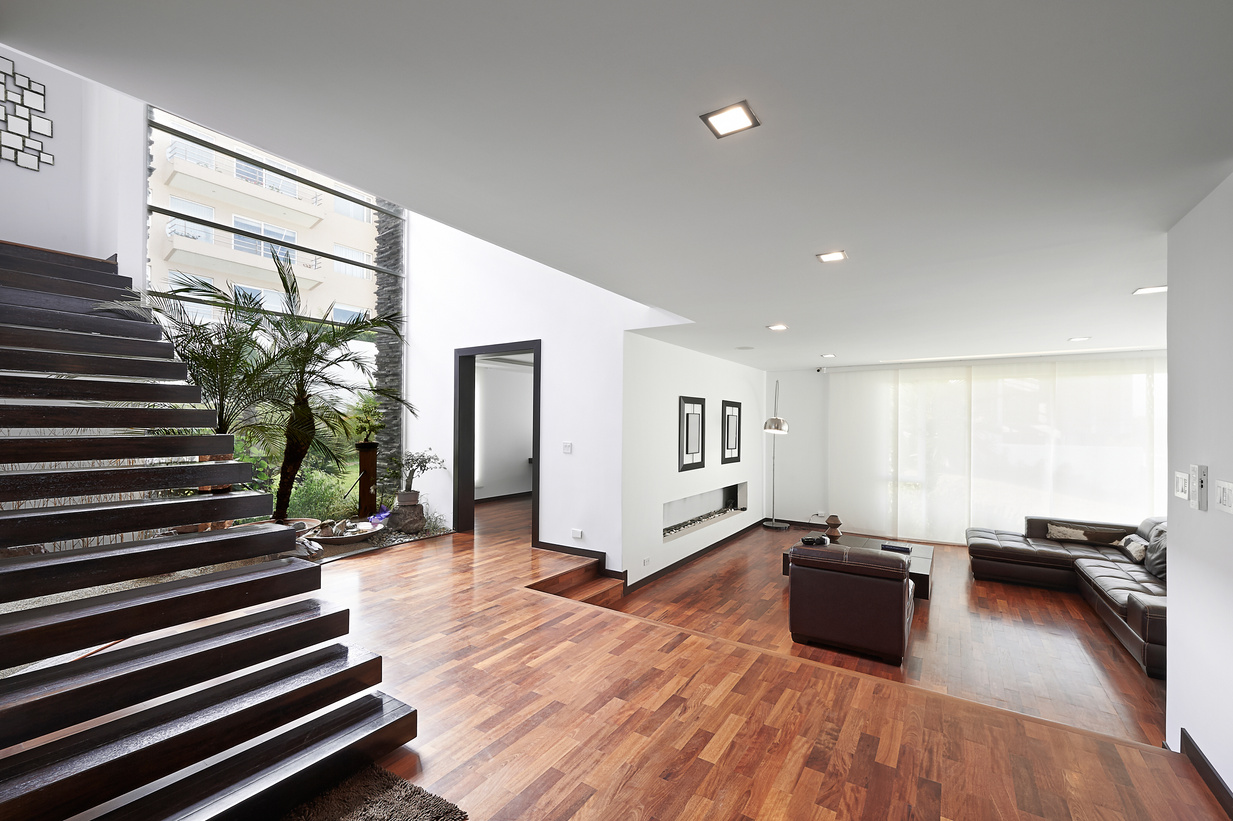 Interio design: Modern big living room